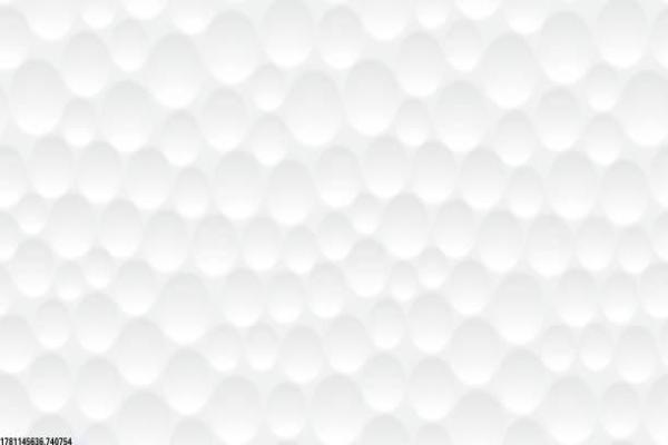 大连木篮体育培训基地位置指南 大连木篮体育培训基地位置指南(图1)